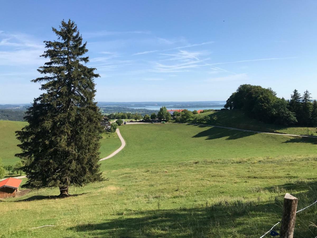 Fewo Chiemsee Spezial 基姆高的阿绍 外观 照片